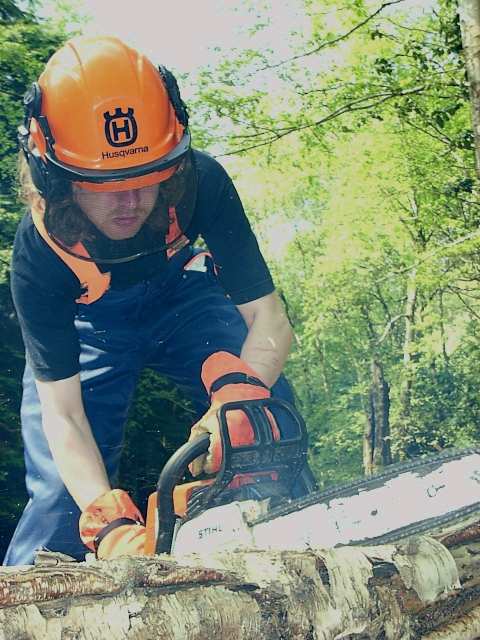 cp forestal