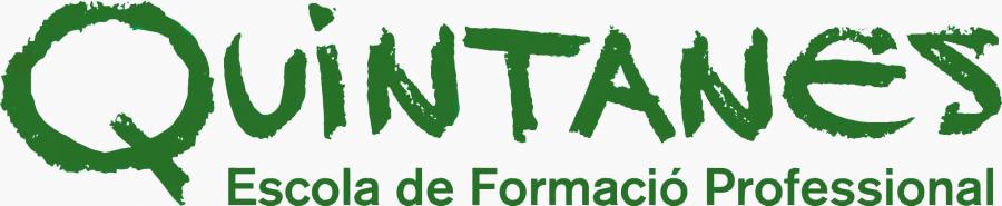 cicle formatiu quintanes